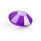 Preciosa MAXIMA SS12 Neon Flatback Czech Crystals, 144ct.